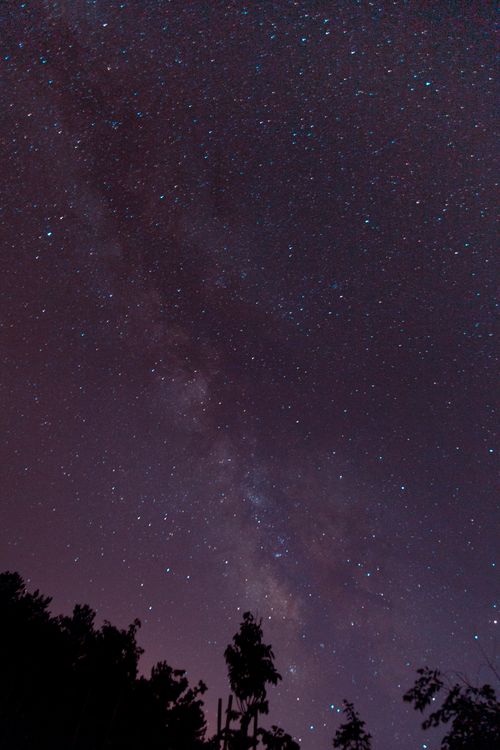 Free Captivating view of the Milky Way in the night sky, featuring a silhouette of trees. Stock Photo