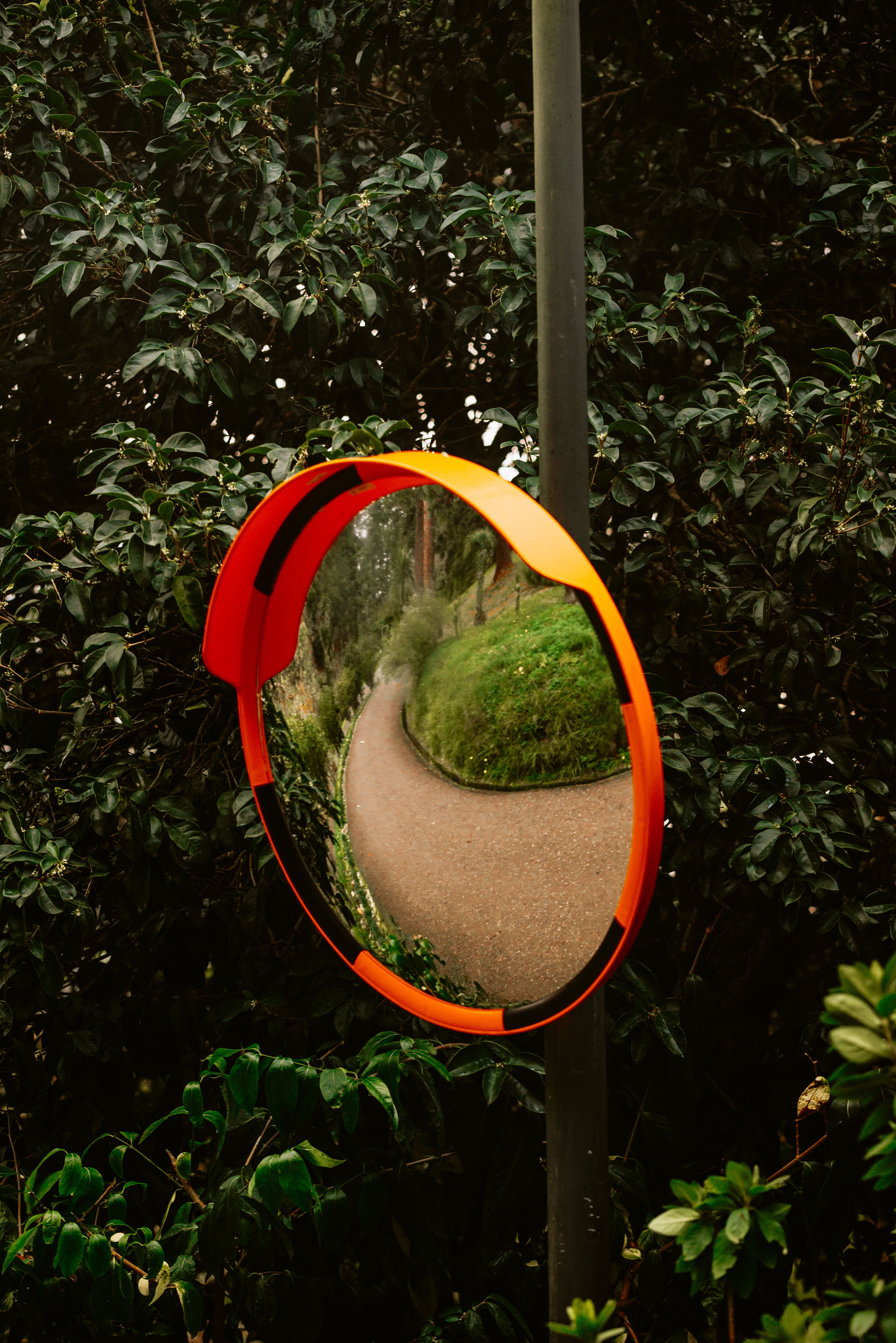 Path In Mirror Photos, Download The BEST Free Path In Mirror Stock ...