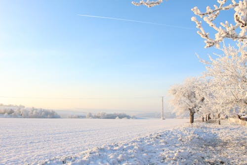 Imagine de stoc gratuită din acoperit de zăpadă, câmp, frig