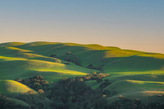 Capture of lush green hills with sunlight casting shadows, ideal for landscape lovers.