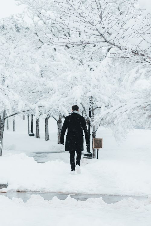 Free A man in a coat walks through a snow-covered park, surrounded by bare trees during winter. Stock Photo