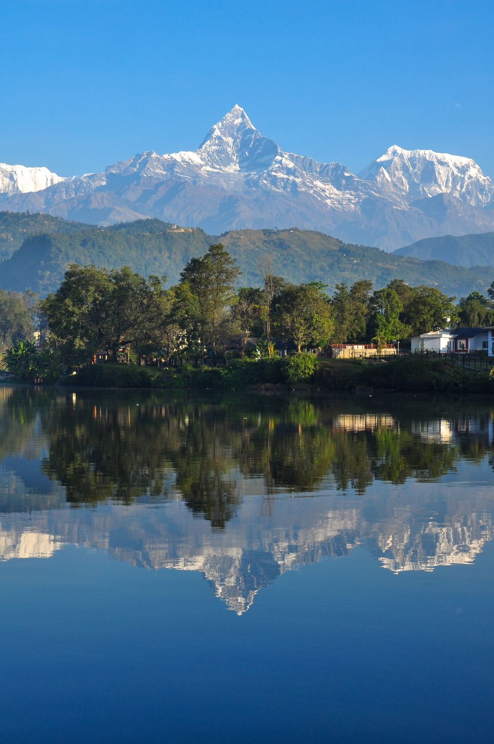 Machhapuchhre and the Annapurna snows mirrored in the still water of Phewa Lake at Pokhara