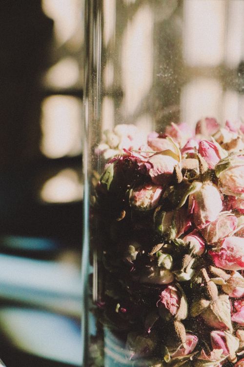 Free Warm-toned close-up of dried rosebuds in a glass vase, perfect for floral decor. Stock Photo