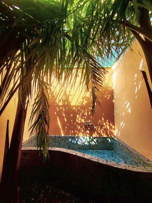 Gratis stockfoto met buitenbad, muren, palmbomen