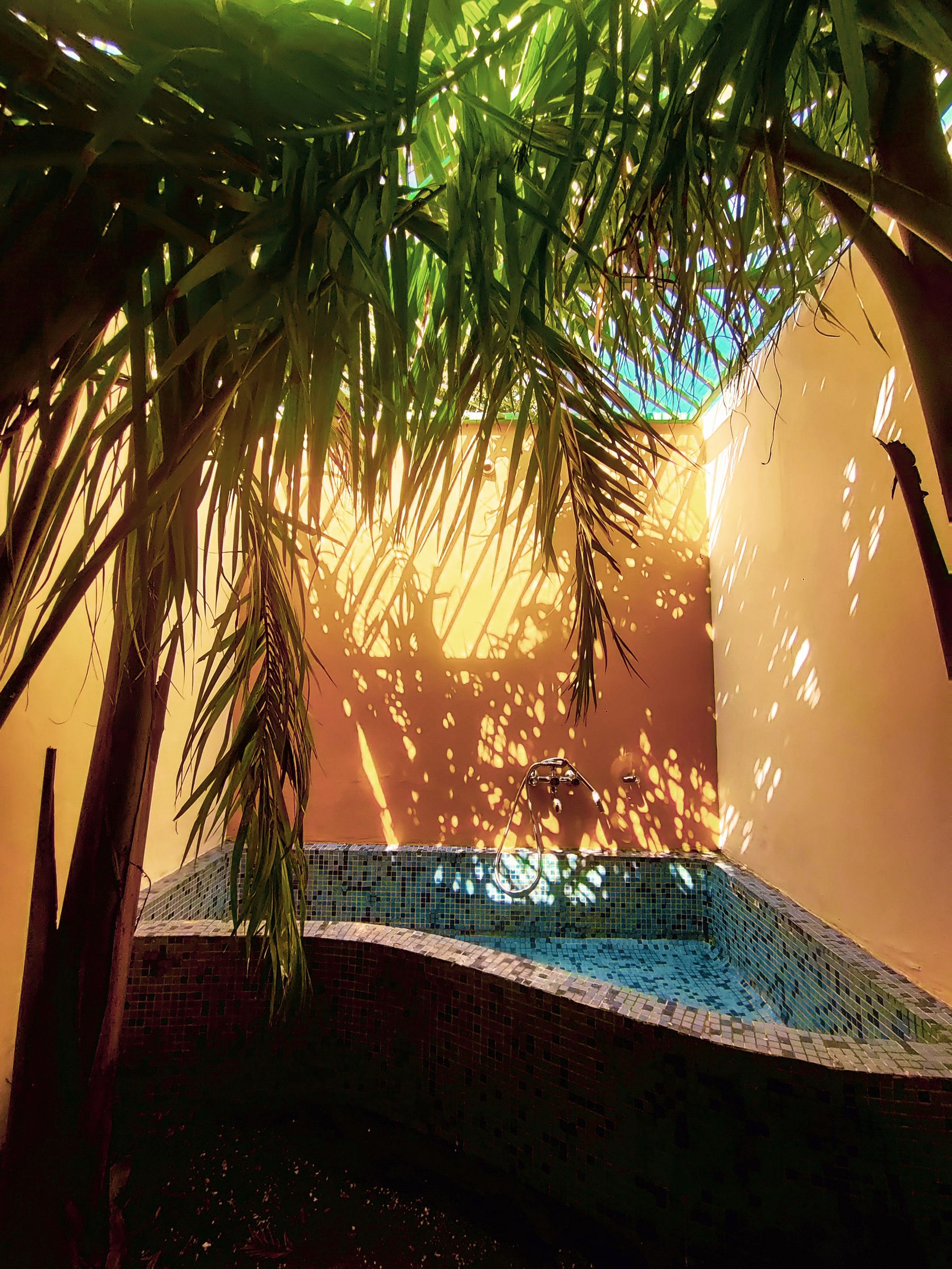 Outdoor bathing area with a freestanding tub, palm planting and warm paved surfaces