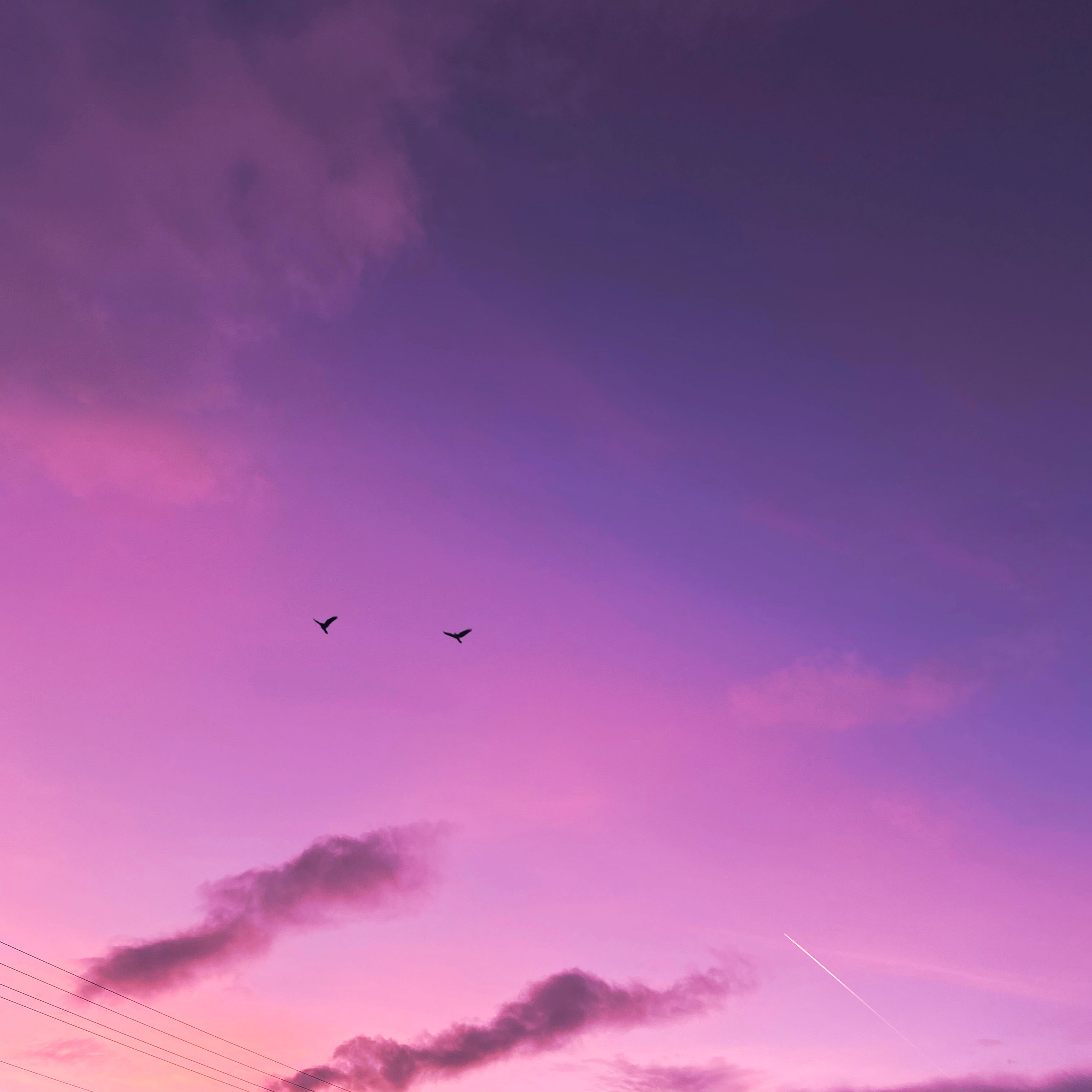 A stunning purple sunset sky with birds flying, perfect for mobile wallpaper.