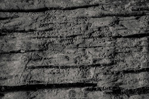 Free stock photo of old wood, texture, wood texture