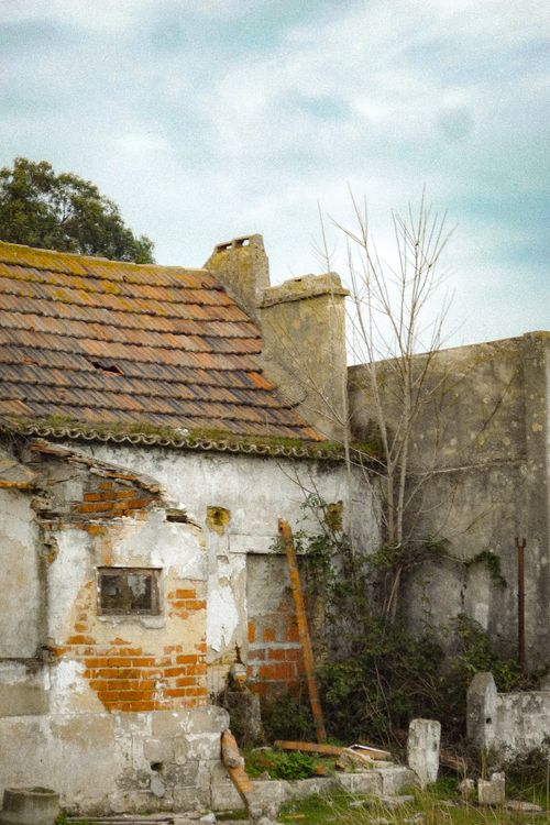 Free Explore the textures of a forgotten cottage, surrounded by nature's quiet reclaim. Stock Photo