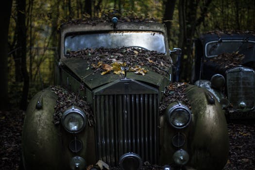 Green Classic Car in the Forest