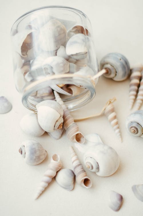 Sea Shells in a Glass Jar