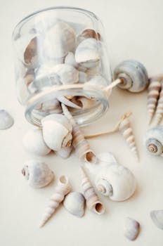 Aesthetic arrangement of seashells spilling from a glass jar on a white surface.