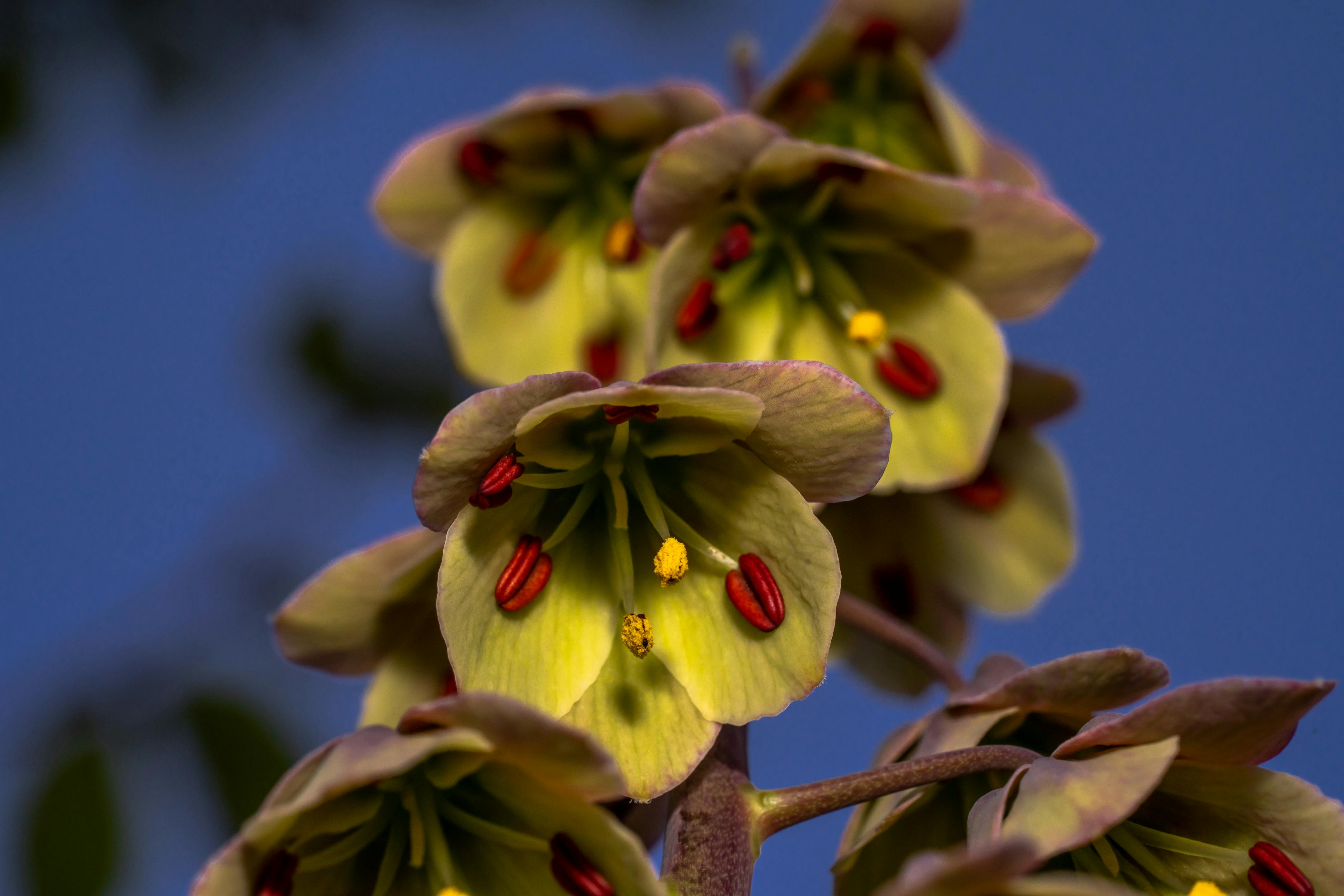 1. Kicking off Your Friday with a Fresh Mindset