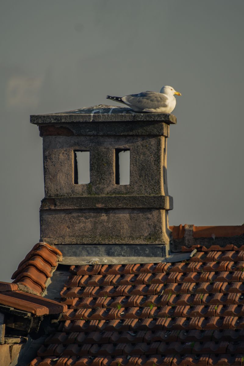 Schornstein abreissen oder sanieren — helpful reference illustration