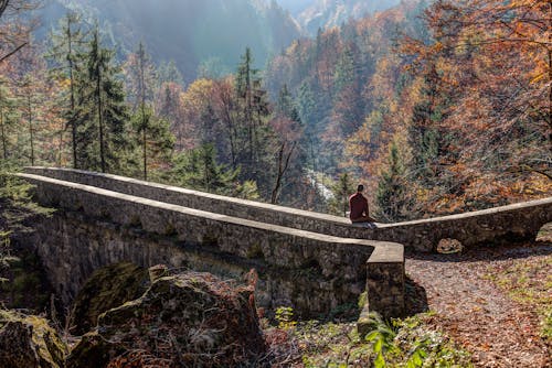 Person in Brown Shirt Sitting in Concrete Bridge Across Brown and Green Tree