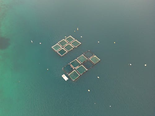 balık çiftliği, deniz, gemiler içeren Ücretsiz stok fotoğraf