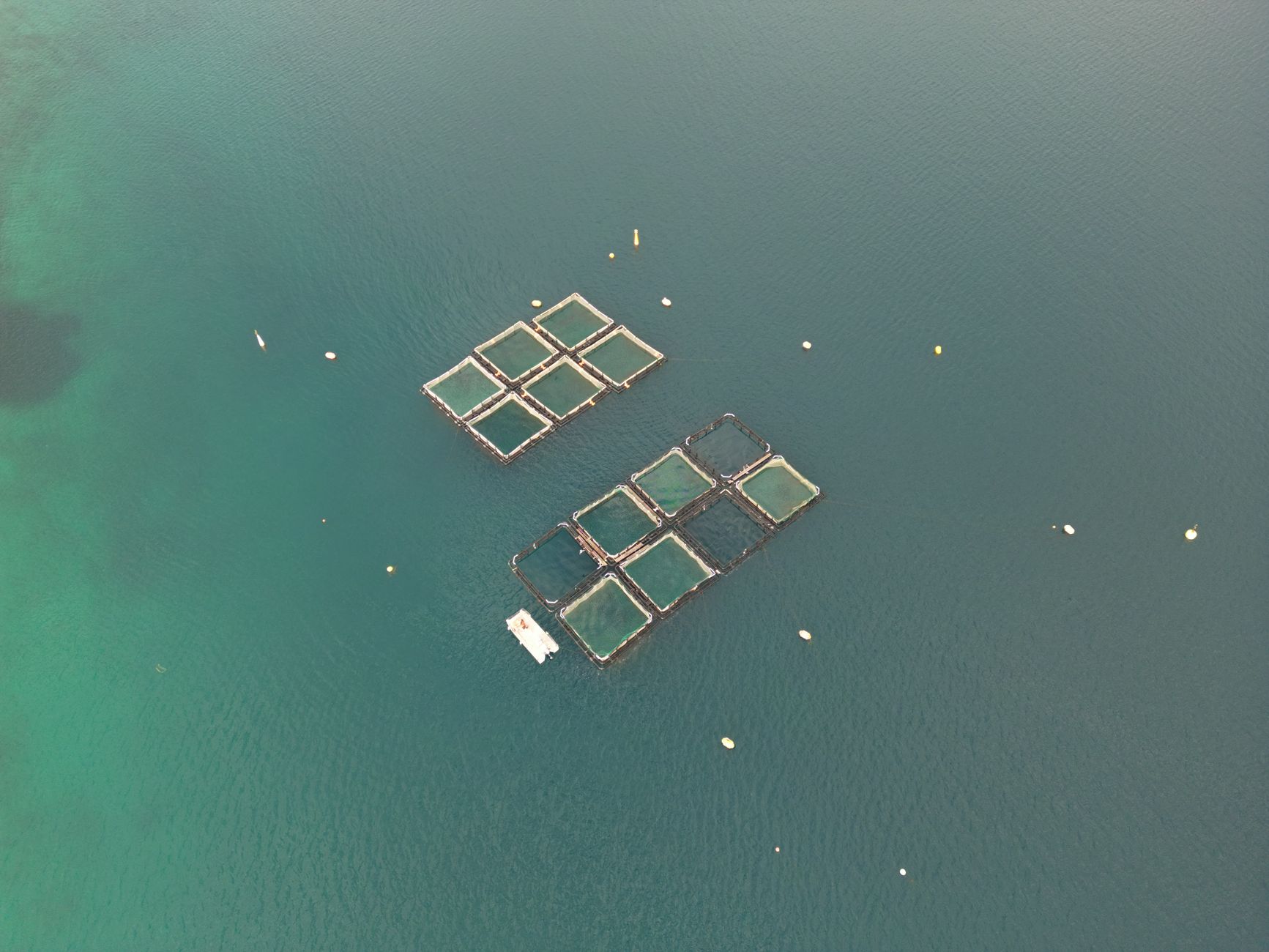 A bird's eye view of fish farming cages in the clear waters of the Adriatic Sea.