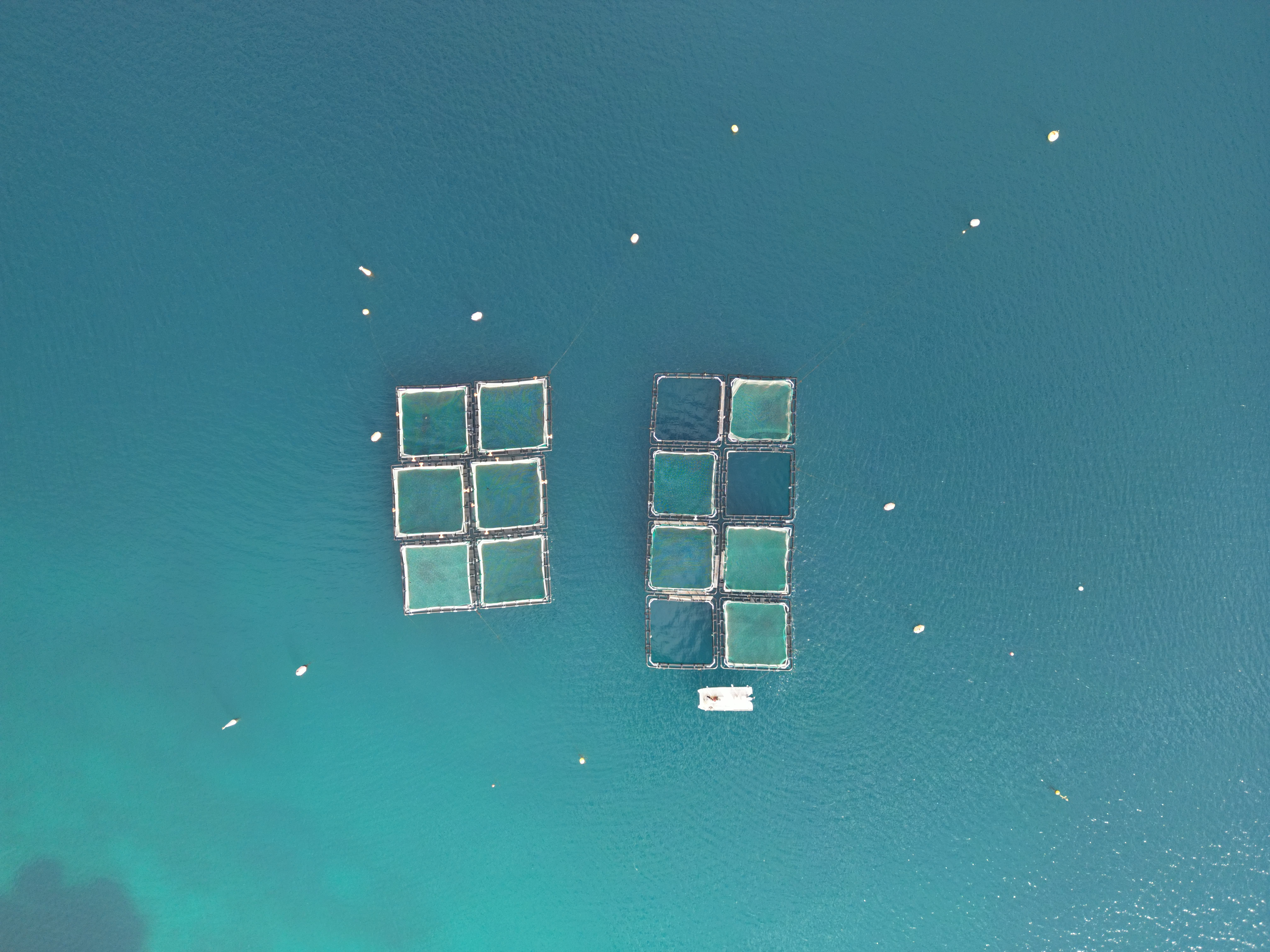 From maritime to Blue economy: Transforming Cabo Verde’s