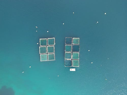 Imagine de stoc gratuită din fotografie aeriană, mare, păsări ochi vedere