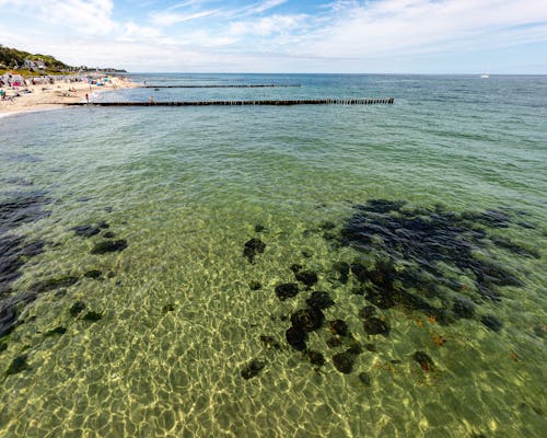 Foto profissional grátis de à beira-mar, água limpa, beira-mar