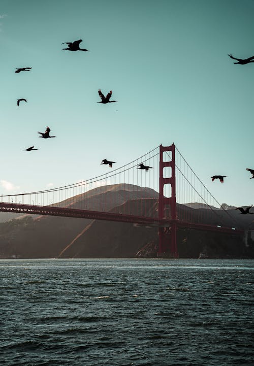 Ilmainen kuvapankkikuva tunnisteilla Golden gate -silta, Kalifornia, kuuluisa maamerkki