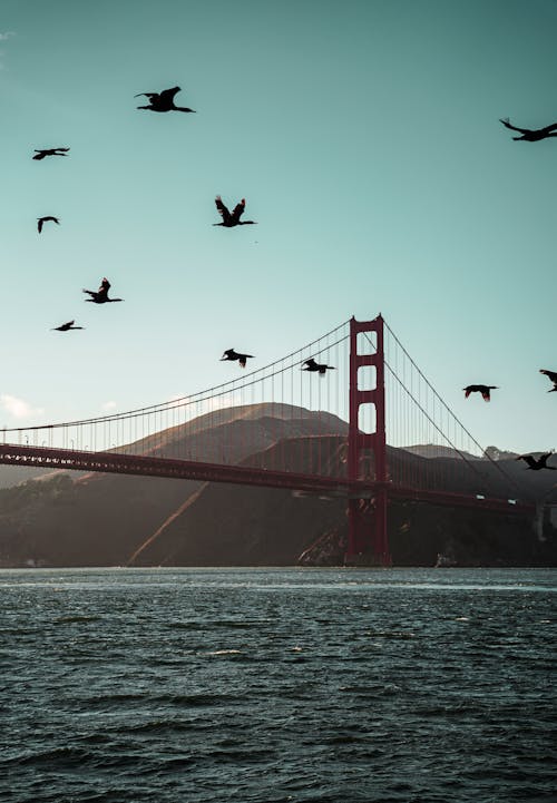 Free Golden Gate Bridge in San Francisco, California Stock Photo