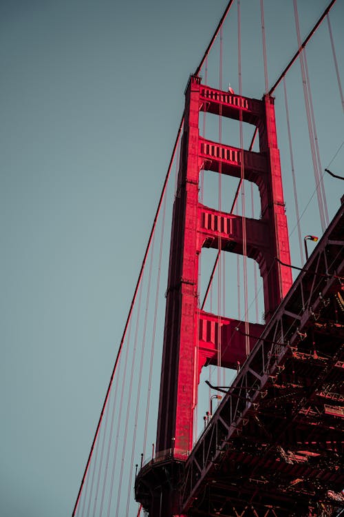 Gratis arkivbilde med bro, california, golden gate bridge