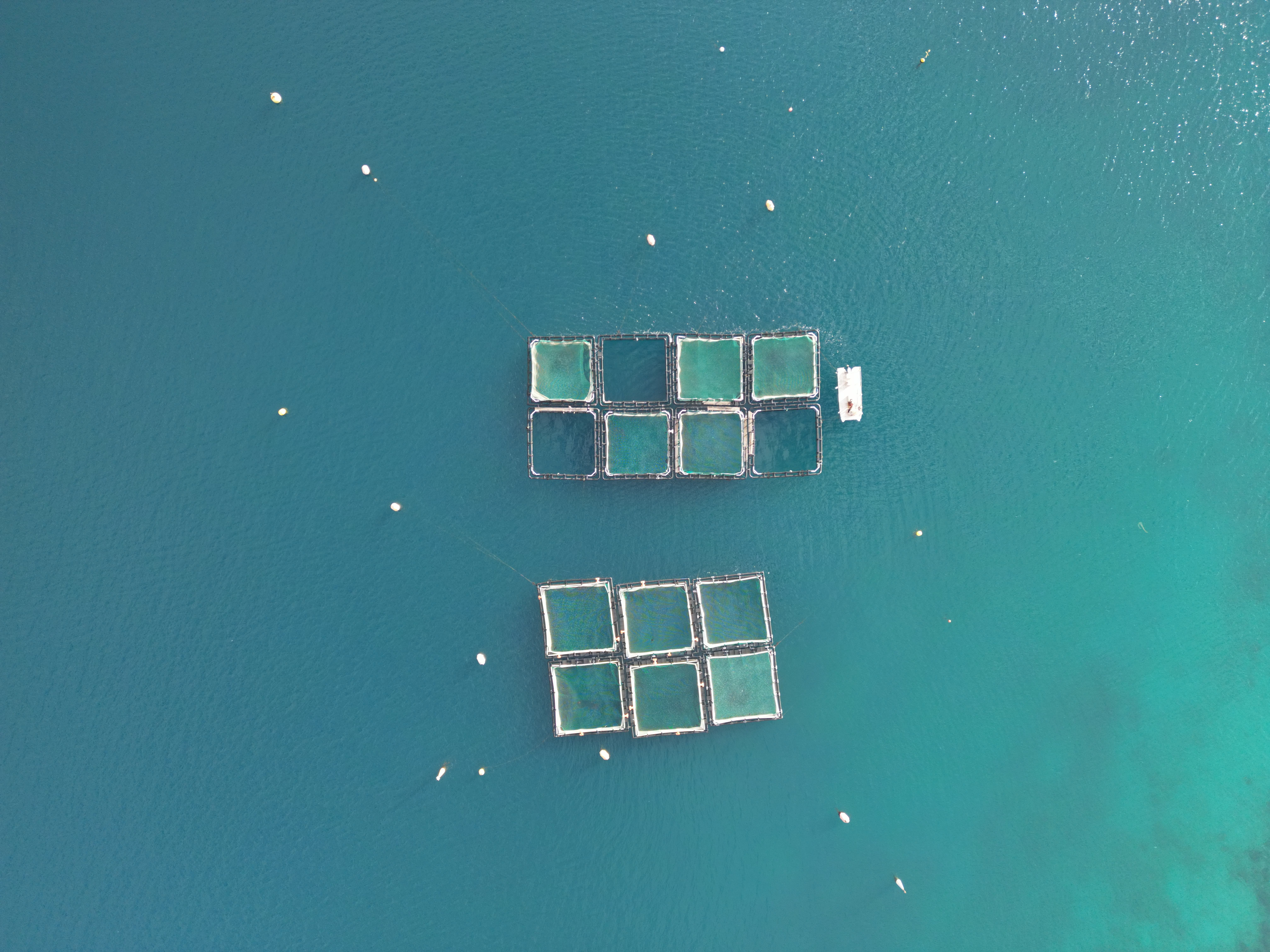 Aerial shot of a fish farm in the clear blue waters of the Adriatic Sea near Veli Iž, Croatia.