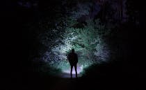 A Man Standing Near the Trees