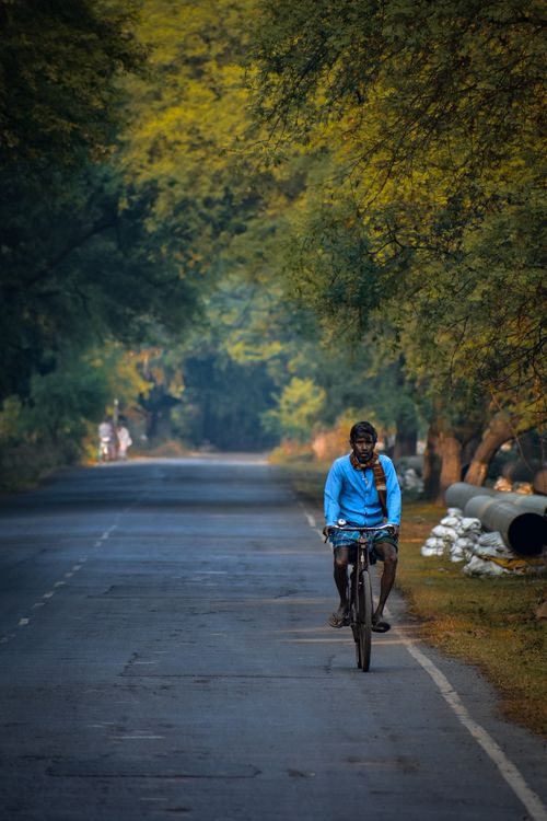 Free Man cycling on a quiet autumn road lined with vibrant foliage, embracing nature's tranquility. Stock Photo