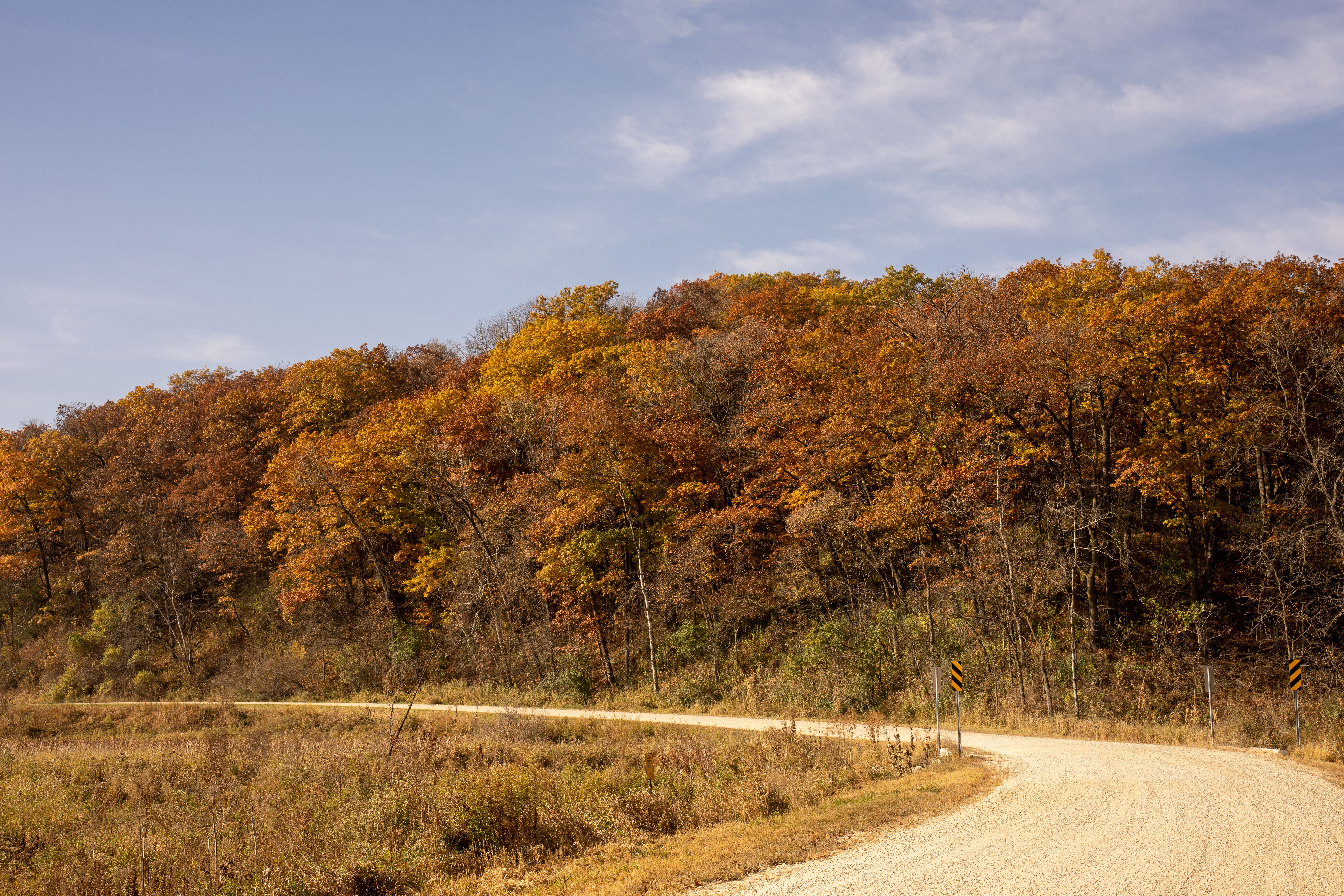 Beautiful autumn colors along a winding rural road in Minnesota, USA.