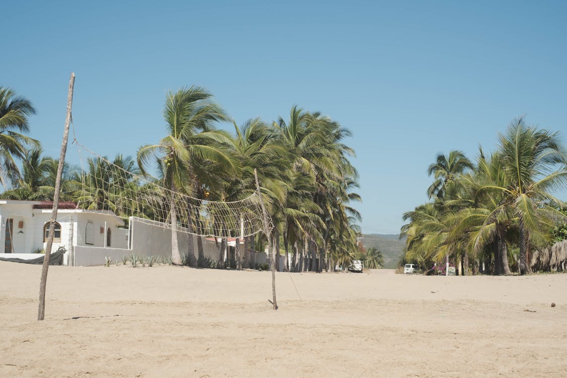 Volleyball Net on the Beach