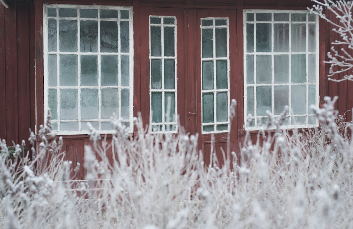 Shrubs in Frost Surrounding Wooden House