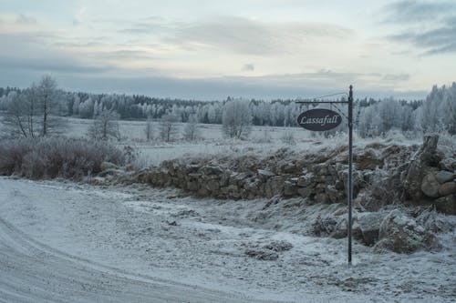 Fotos de stock gratuitas de árboles cubiertos de nieve, carretera, cielo nublado