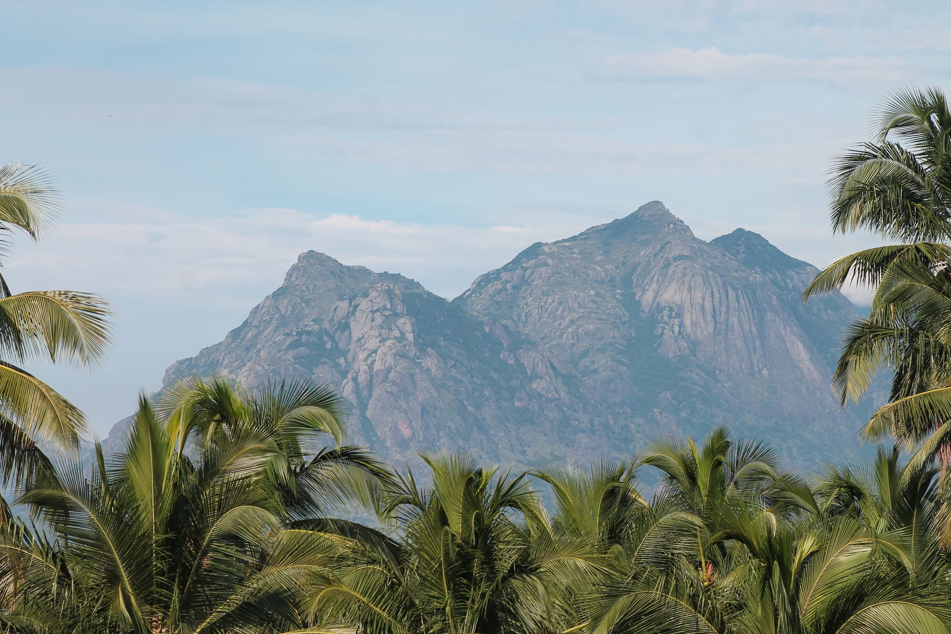 Beautiful landscape of towering mountains with lush coconut palm trees in the foreground.