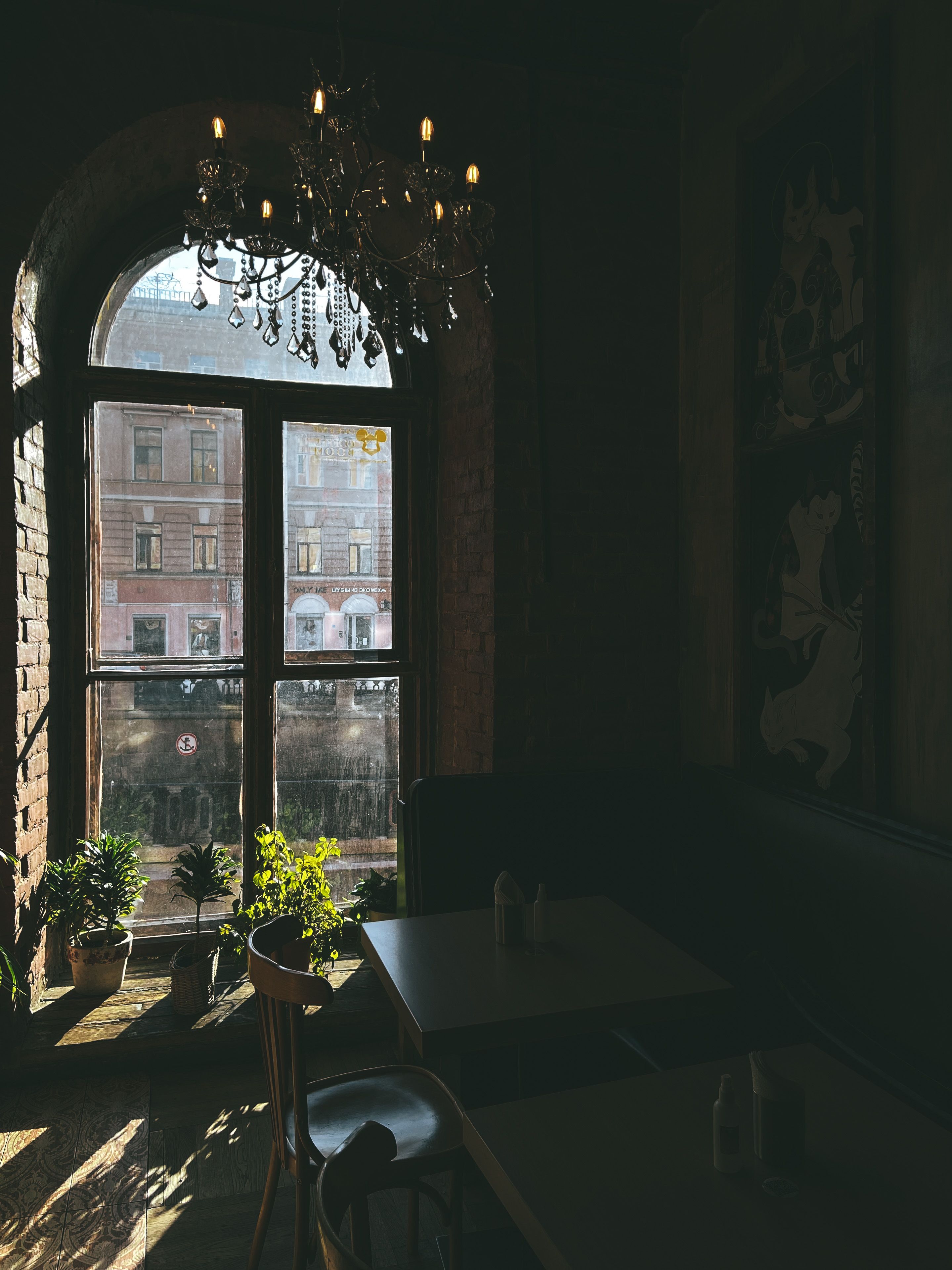 window light · Free Stock Photo