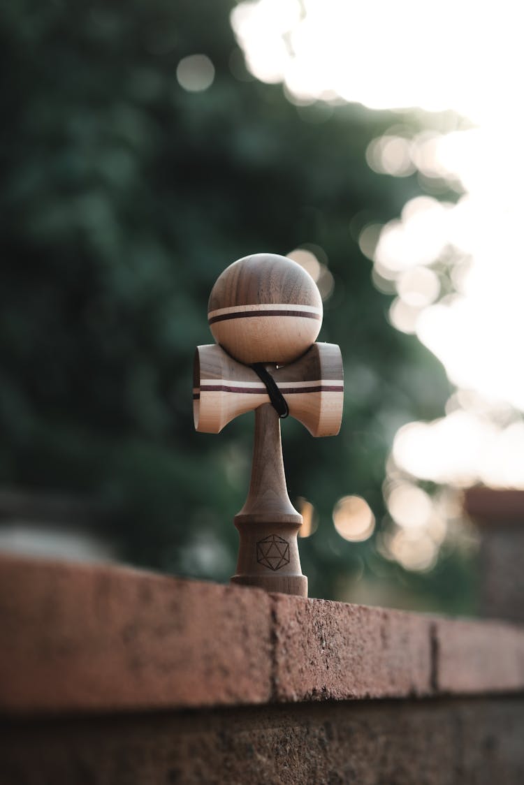 Kendama On Fence