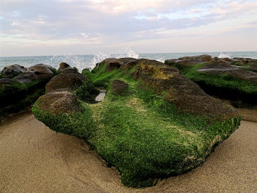 Rock Formation Beside Seashore