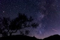 约书亚树上方的星空，在沙漠树木轮廓的映衬下，令人惊叹