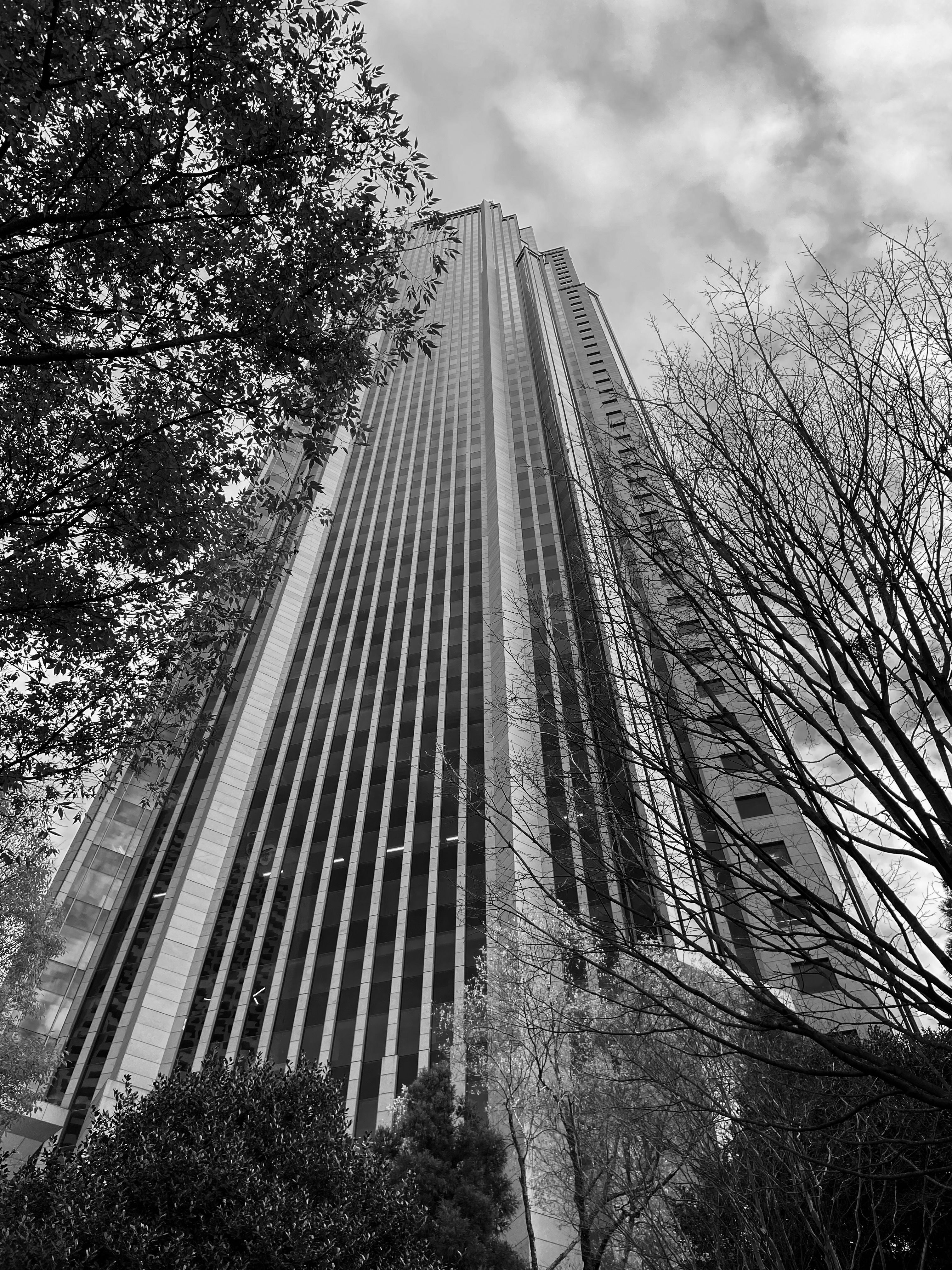 Skyscraper in Black and White · Free Stock Photo