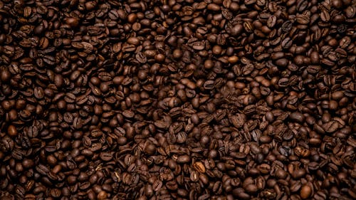 Photo of Coffee Beans 