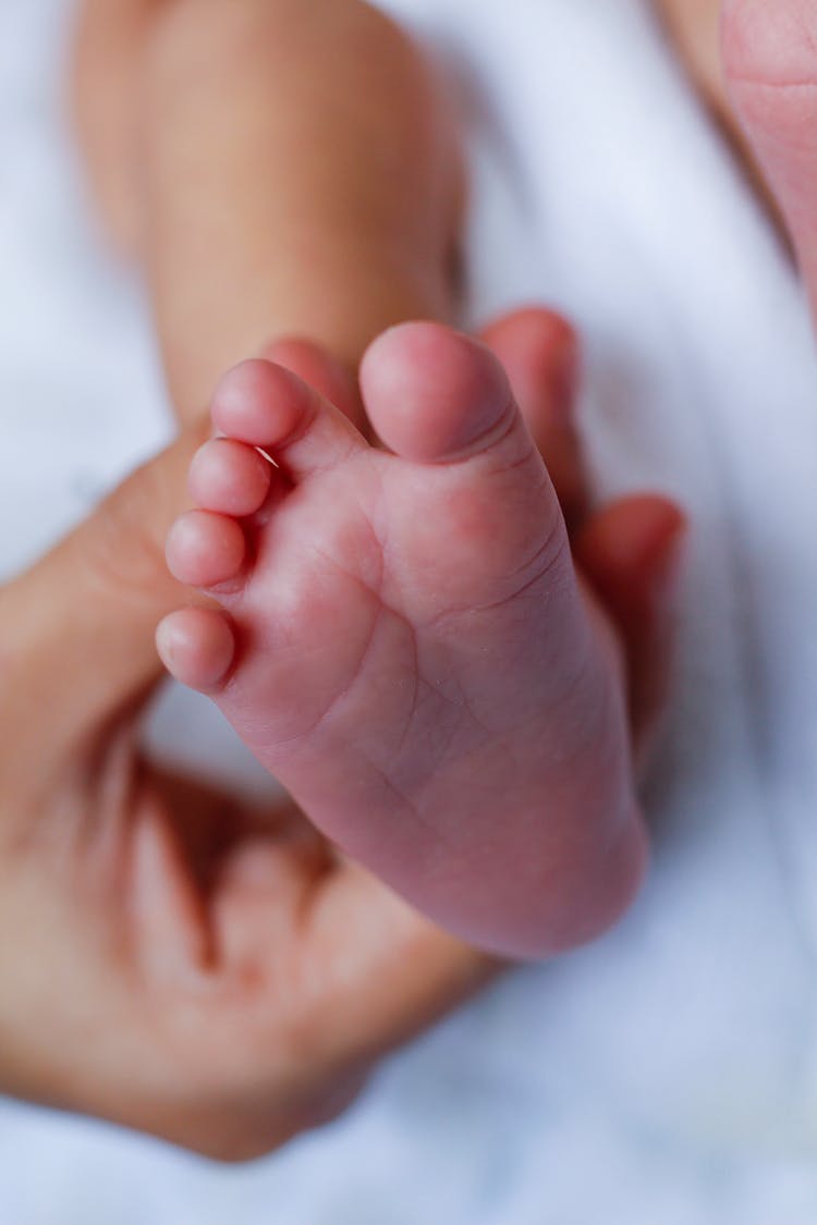 Hand Holding Baby Foot 