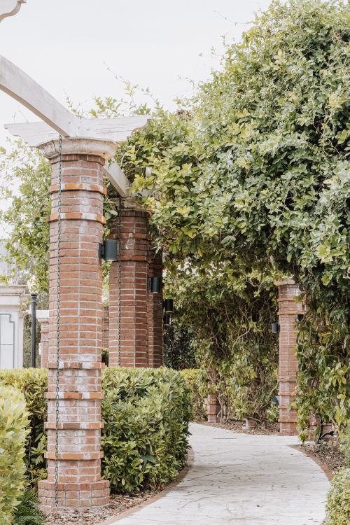 Free A picturesque arbor with brick columns enveloped in lush green foliage, perfect for a park setting. Stock Photo
