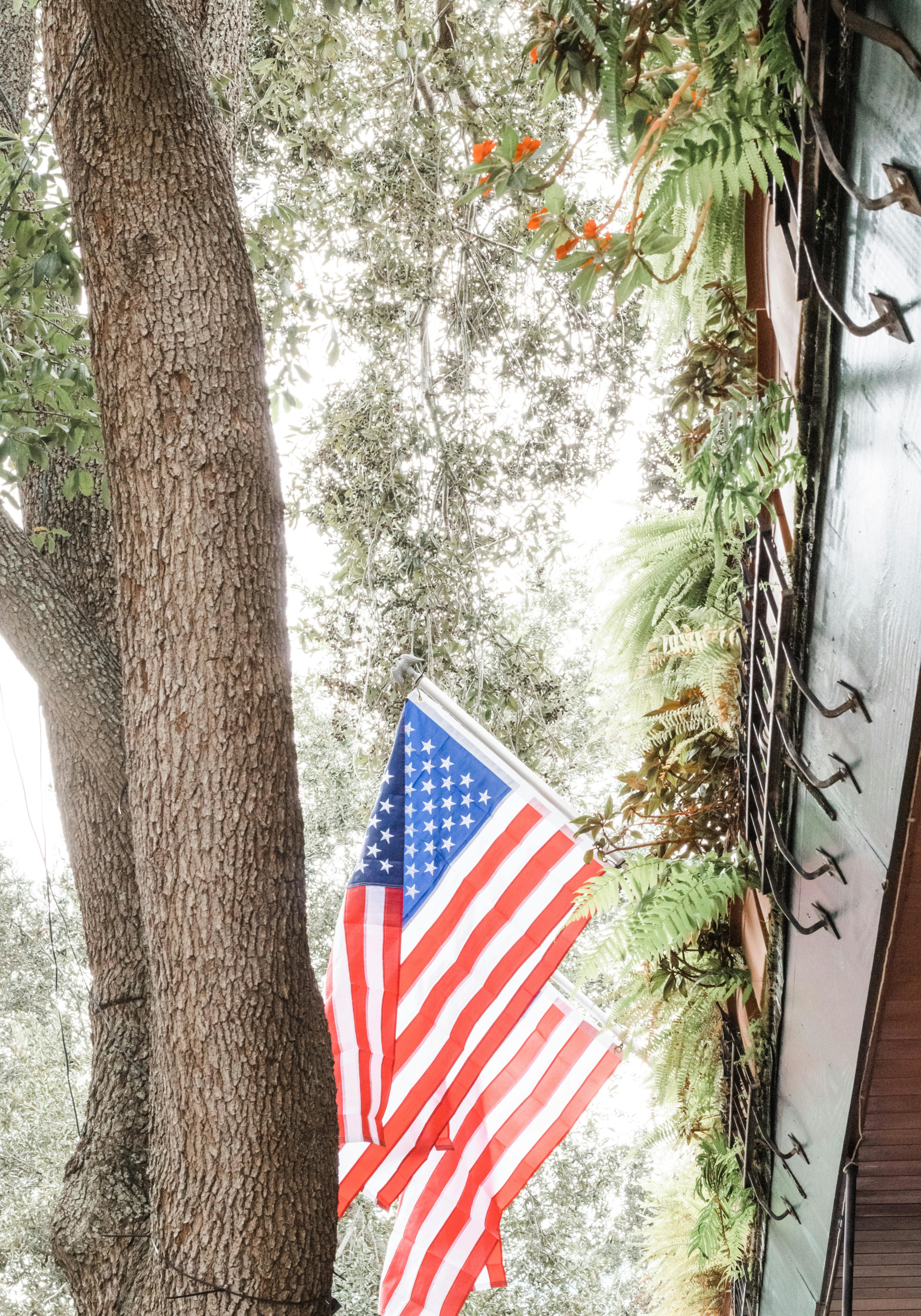 Photo by Nino  Sanger