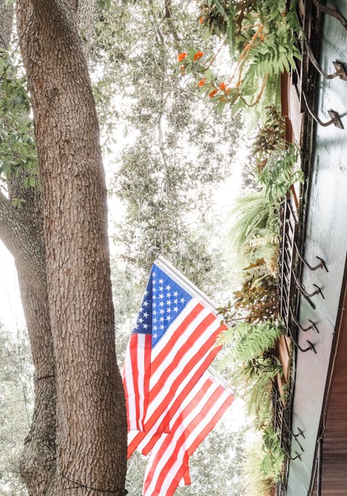 Flags of the United States of America 