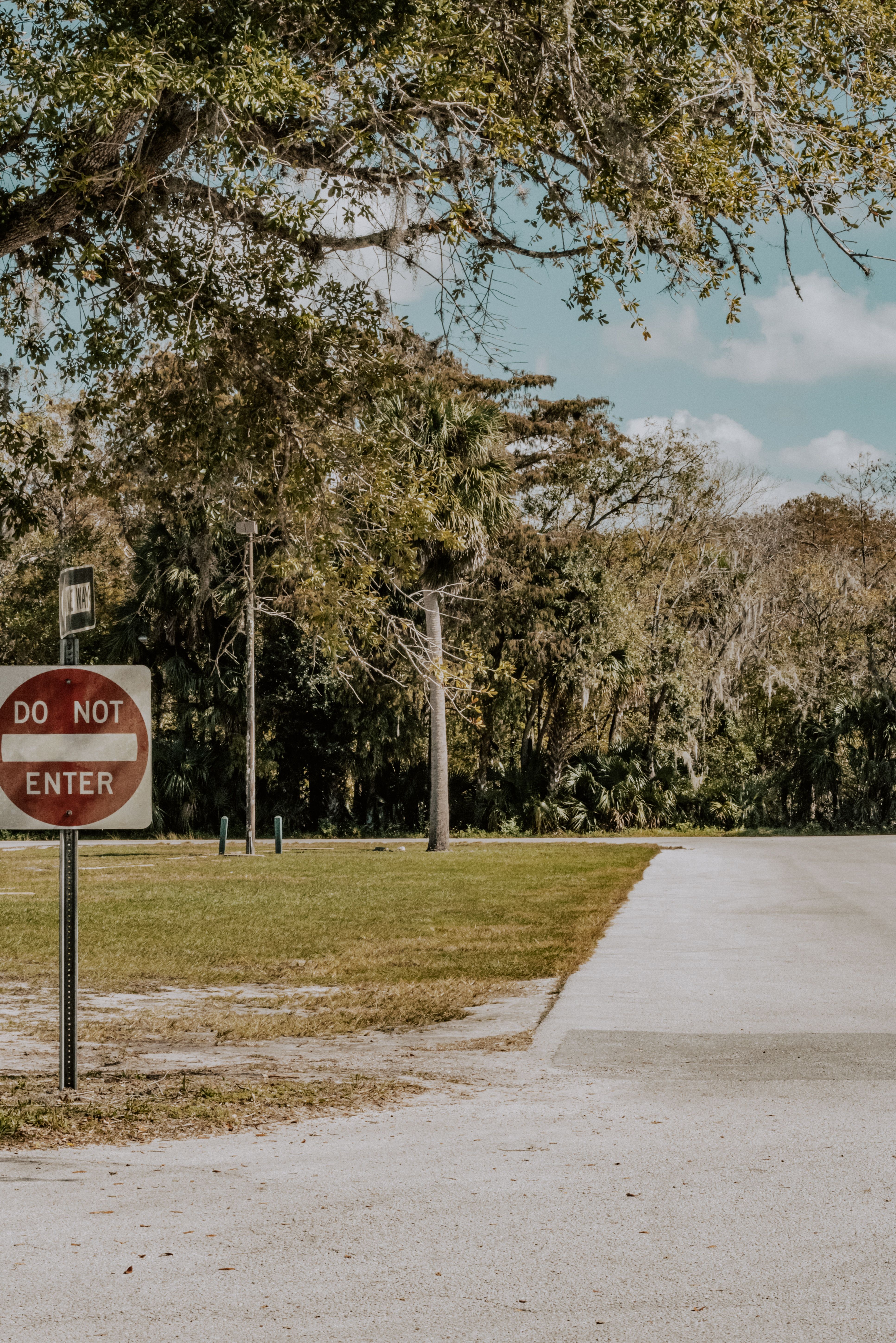 Road Sign near Road in Park · Free Stock Photo