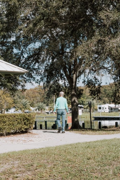 Free A man strolling down a footpath beside a serene river under a tree Stock Photo