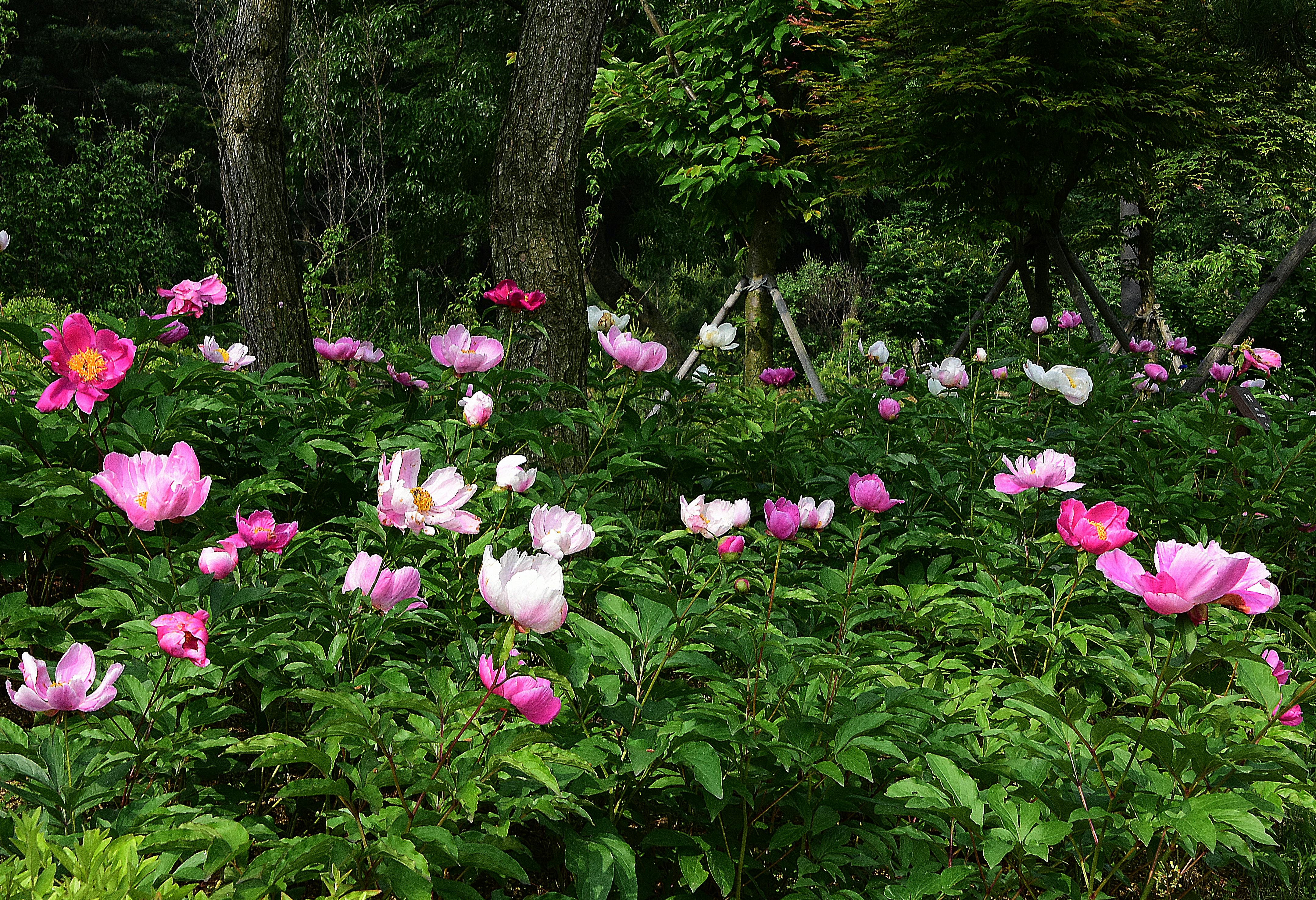 빌뉴스 게디미나스 타워와 도시 전경
