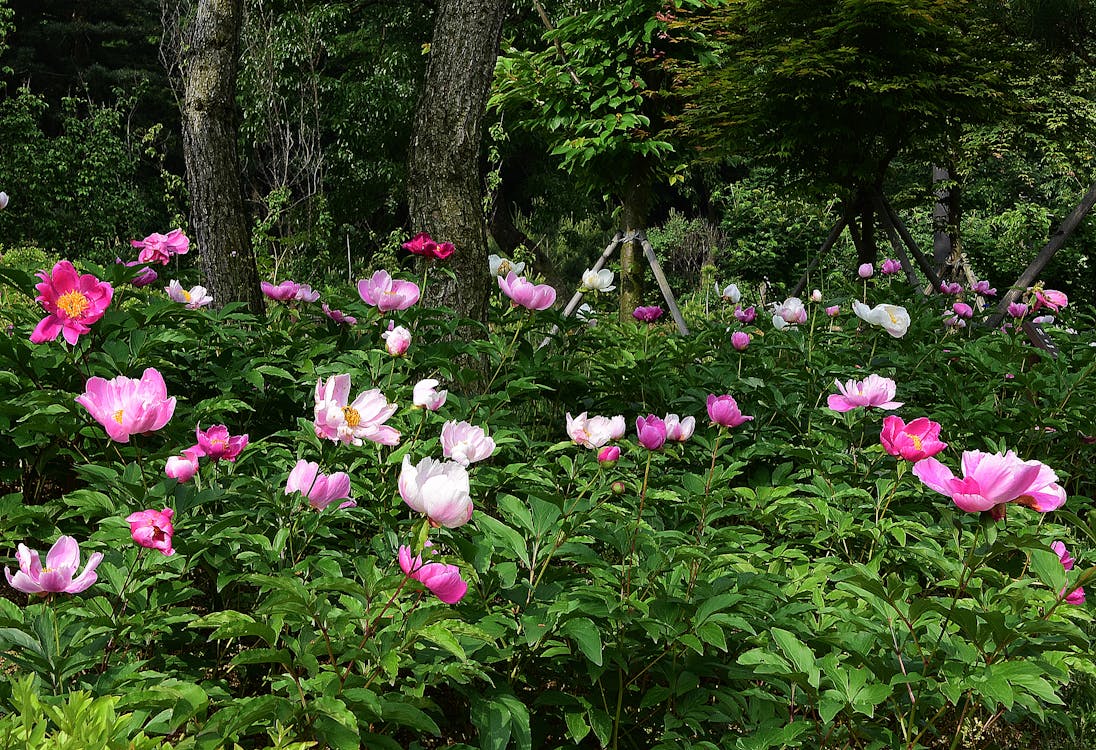 빌뉴스 게디미나스 타워와 도시 전경