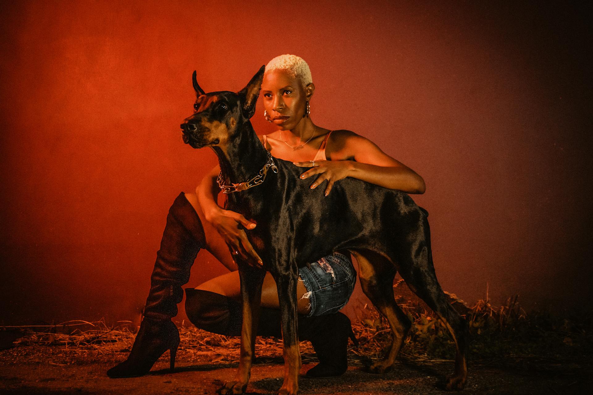 Model Posing with Dobermann