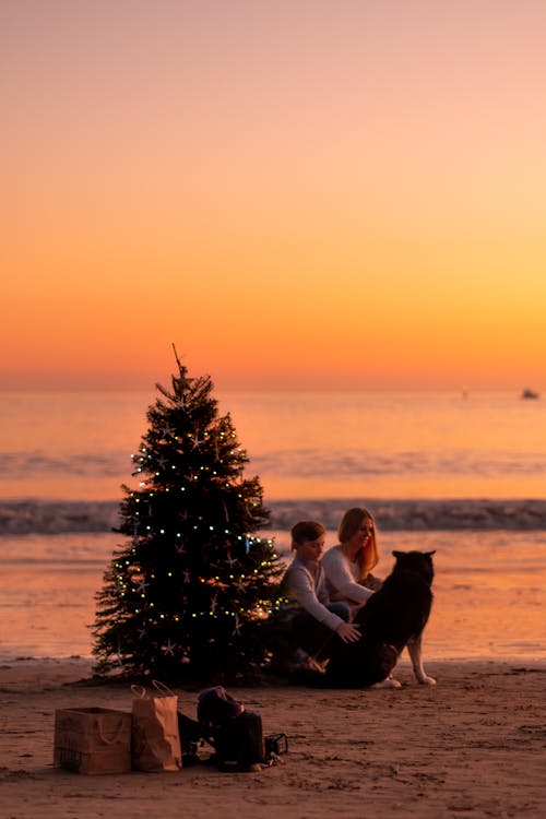 Foto profissional grátis de alvorecer, árvore de Natal, beira-mar